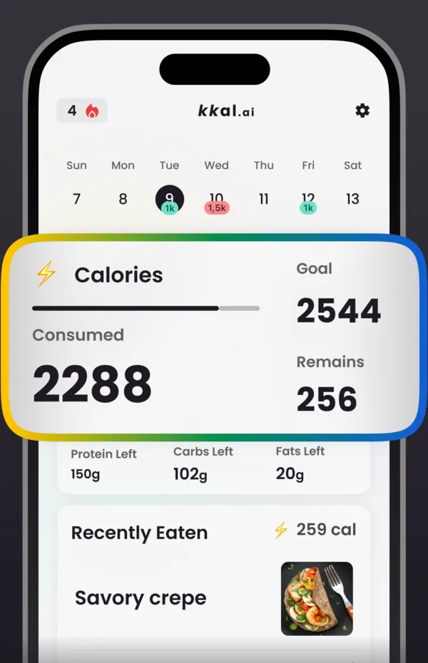 kkal.ai diary showing the daily calorie goal, calories consumed and calories remaining, with protein, carbs and fat left for the day